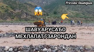 ТОП АРУСА БО МЕХЛАПАТ АЙ СЕЛ ГЗАРОНДАН😱@prirodaidasticum