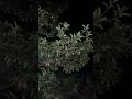 皆さんが故郷に帰るときの気持ちは何ですか?