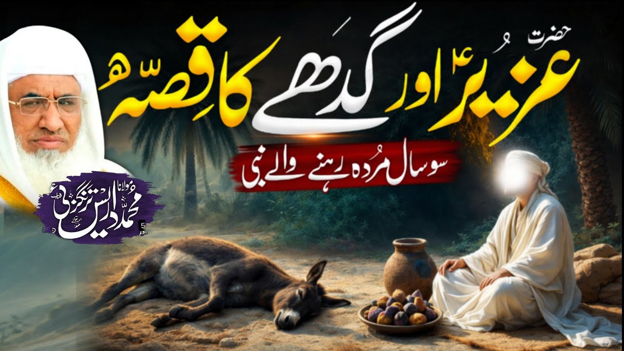 Hazrat Uzair (A.S) Aur Gady Ka Qissa | Molana Sheikh Idrees Sahib | Pashto Bayan