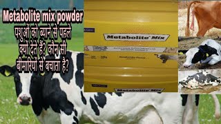 Metabolite Mix Powder पशु को बीमारी और कमजोरी से जल्दी उबारने के लिए ब्याने से पहले  और बाद में