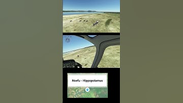 MSFS Ultimate African Safari with baby Rhinos & Hippos. #shorts #msfs #babyanimals #safari