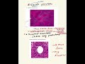 Stelate  granuloma and doughnut granuloma [ general pathology]