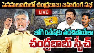 పెనమలూరు ప్రజాగళం సభలో టీడీపీ నారా చంద్రబాబు Chandrababu Prajagalam Public Meeting in Penamaluru