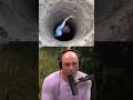 Lost Treasure Found: The Curse of Oak Island Exposed! 🏝️ - Joe Rogan Mp3 Song