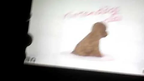 Nintendogs and cats how to breed your dogs and restart my game!