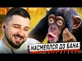 HARD PLAY РЕАКЦИЯ НА ЛУЧШИЕ СМЕШНЫЕ ВИДЕО ПРИКОЛЫ ЗА ВСЁ ВРЕМЯ #5