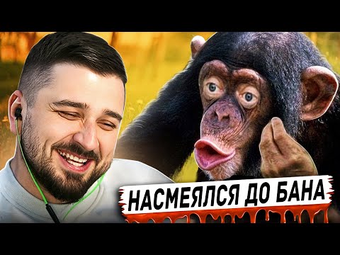 Видео: HARD PLAY РЕАКЦИЯ НА ЛУЧШИЕ СМЕШНЫЕ ВИДЕО ПРИКОЛЫ ЗА ВСЁ ВРЕМЯ #5