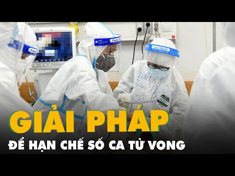 Video Ca tử vong cả nước tăng cao, cần tìm giải pháp ngay... - youtube