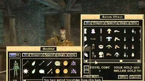 Lets Interactively Play Morrowind Part 167 Forking Around part 2 of 4)