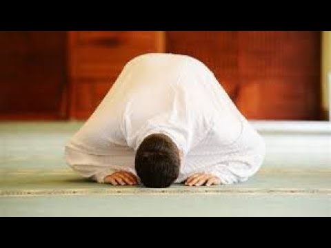 قصة في بيان أهمية الخشوع في الصلاة لشيخنا الداعية وهبان بن مرشد المودعي