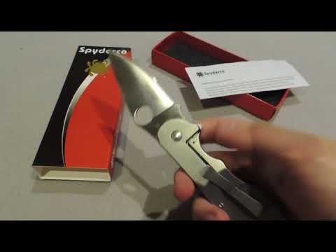 დანა სპაიდერკო დომინო