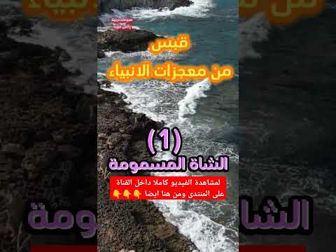 الشاة المسمومة والمرأة اليهودية فهيد القرآن الكريم