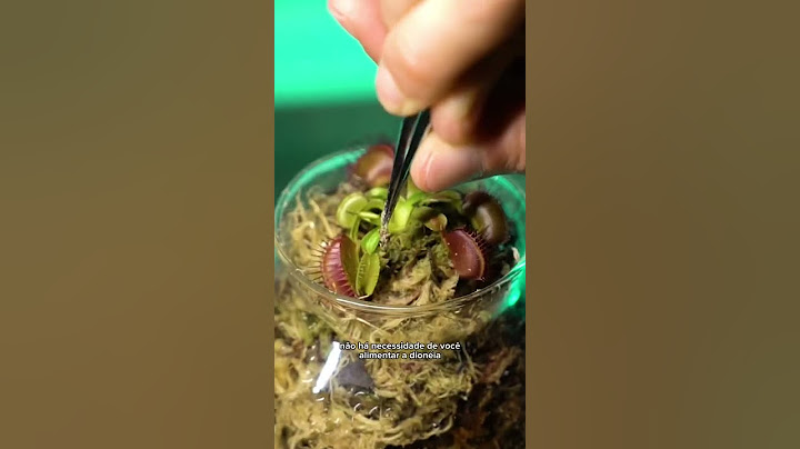 FEEDING MY CARNIVOROUS PLANT! #shorts