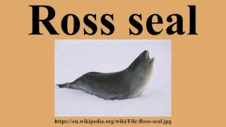 Ross seal