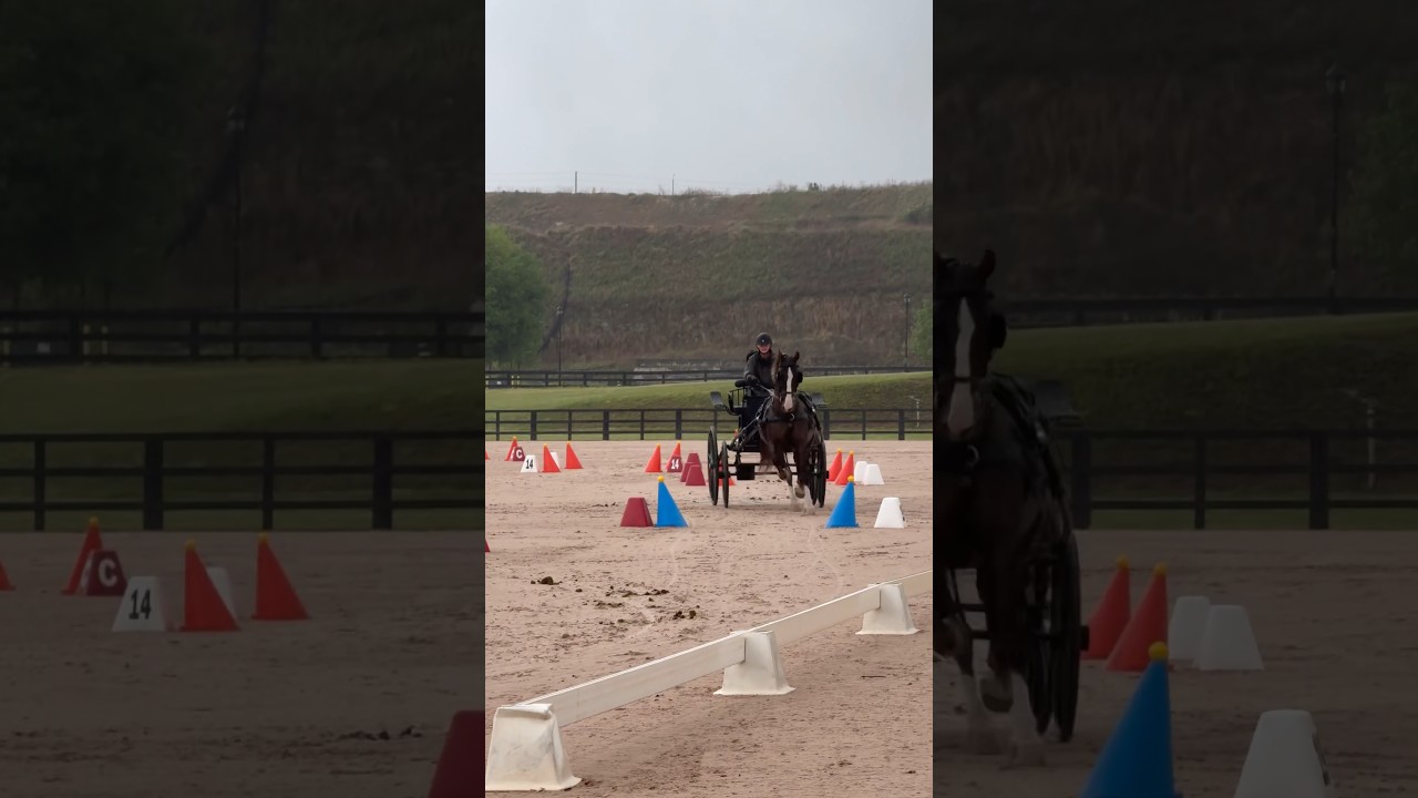 From our double clear cones win at Tryon 🫶🫶