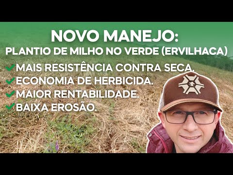 Vídeo: Informações de Ervilha: Aprenda a Crescer Ervilhaca Chickling no Jardim