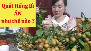 Quất Hồng Bì ăn như thế nào? |Du lịch trải nghiệm.