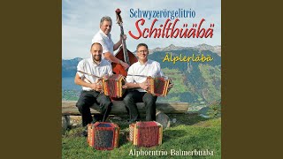 Zum achzigschtä Geburtstag vom Tädi
