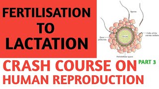 Class 12/ncert/crash course/neet/aiims ...
