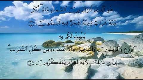 سورة النحل من آية 10 الى 20 ماهر المعيقلي