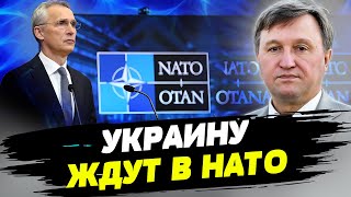 У НАТО нет оснований отказать Украине во вступлении в Альянс — Сергей Джердж