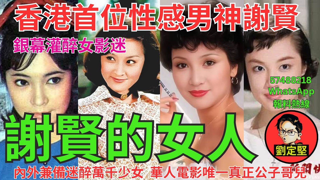 謝賢的女人。四哥系列2