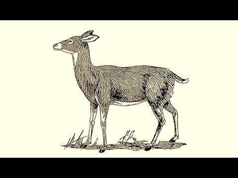 Richard Toupin Psaume 42