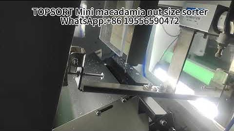 TOPSORT Mini macadamia nut shape sorter machine