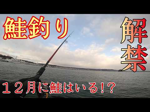 【鮭釣り】河口規制解除！１２月に鮭はいるのか！？