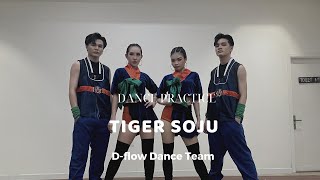 TIGER SOJU | Dflowdanceteam