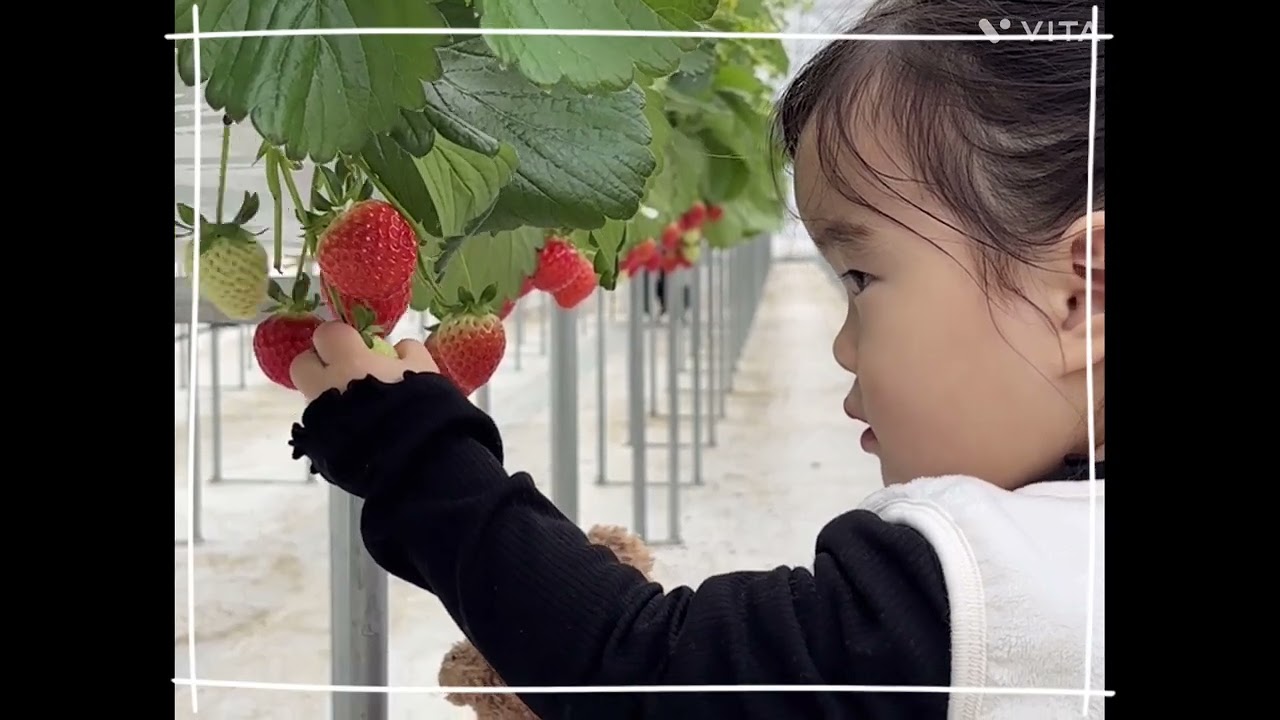 떨기농장🍓 