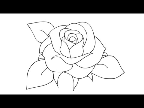 Featured image of post Roses Drawings Step By Step