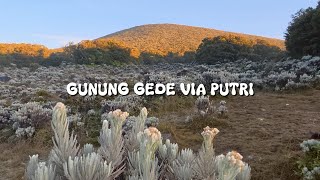 Gunung Gede Via Putri | Alun-Alun Surya Kencana dan Segala Isinya