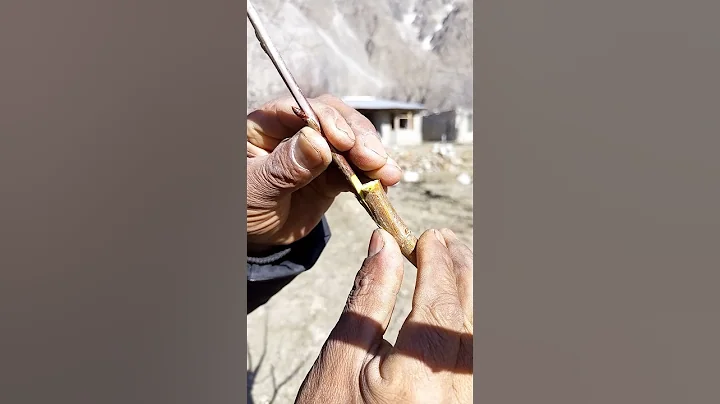 Grafting technique on fruit trees | New grafting method #shorts #grafting #fruittrees