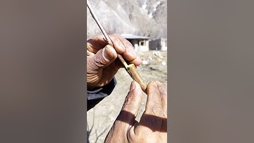 Grafting technique on fruit trees | New grafting method #shorts #grafting #fruittrees