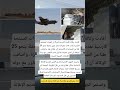عاجل إنزال جوي ضخم للمساعدات على غزة بمشاركة الأردن والإمارات فلسطين غزة الامارات الاردن عاجل إنزال جوي ضخم للمساعدات على غزة بمشاركة الأردن والإمارات فلسطين غزة الامارات الاردن