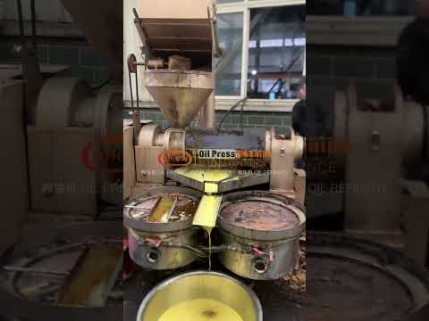 Guangxin Squeeze Bar