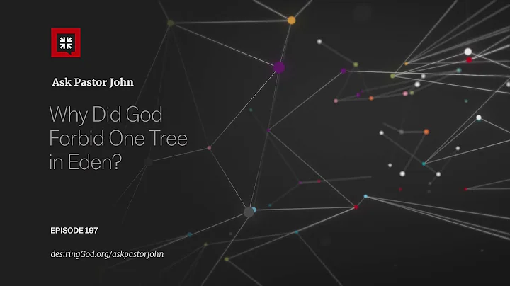 Why Did God Forbid One Tree in Eden?