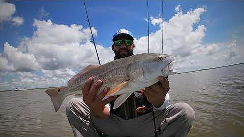 kayaking in Freeport Tx working oysters always works.. BUT it can come with upsetting endings..