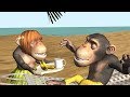Funny Good Morning Song. Monkeys...