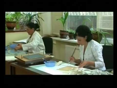 უშიშროების არქივი.flv