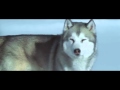 Eight below-Paul Walker (Iridescent)