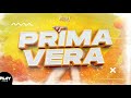 MIX PRIMAVERA 2020 ( Don Don, Se Te Nota, Lean, Tattoo, Relacion Remix, Mami Chula, Aleteo y mas)