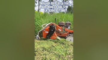 Máy xới đất, cắt cỏ trục băm động cơ dầu 178F. #thietbi365 #mayxoidat #maycatco