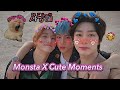 Monsta x Cute and Funny Moments