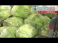 レタスが平年の8割高！　日照不足で野菜が高騰(14/08/26)