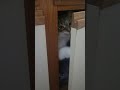 Forcing Poppy to Fight for her Fucking Life