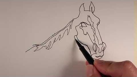 continuous line drawing   continuous line contour drawing lesson