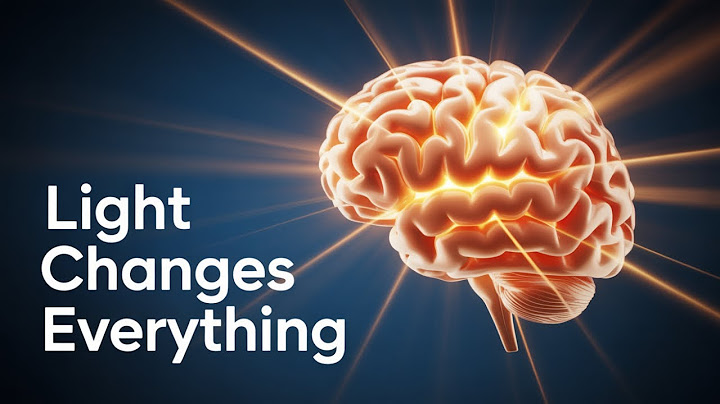 How Light Changes Your Mood and Energy Fast