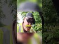 Cop Grabs Driver ID Without Consent Then Threatens Jail For Questioning #shorts #audit #cops